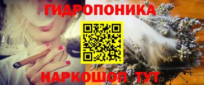 спайс Кинель