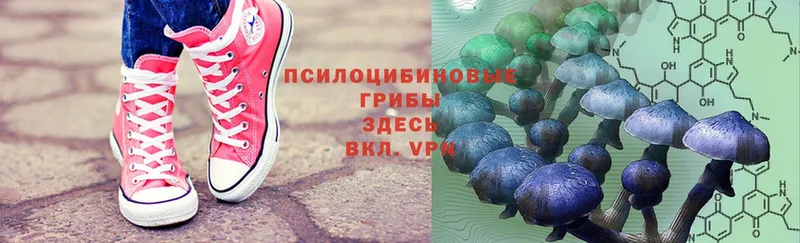 Псилоцибиновые грибы Magic Shrooms  наркотики  Красноуфимск 