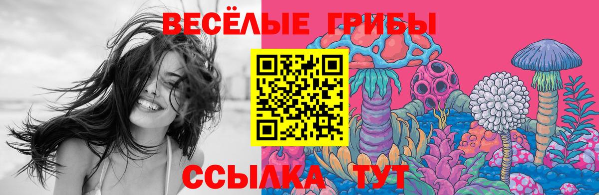 Псилоцибиновые грибы Psilocybe Красноуфимск